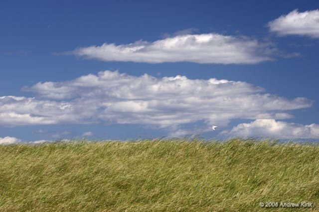 ���� ��� ����� �� ����� ��� ����