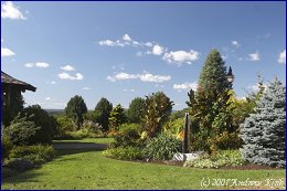 Click to open Towerhill Botanic Garden