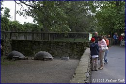 Click to open Southwick Zoo