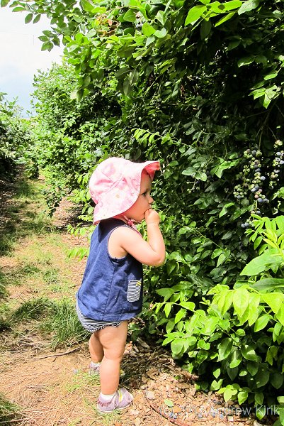 Farm