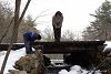 маленькая дамбочка, вода здесь не замерзает и зимой