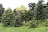 В Арборетум мы уже были, и уже про него писали...