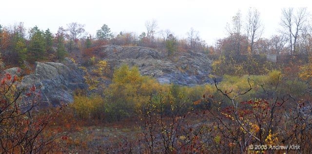 Осенью, в парке