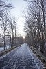 The Minuteman Bikeway - велосипедная дорожка. · Она начинается в Кумбридже, проходит через наш город, Лексингтон и · заканчивается в Бёрлингтоне.