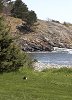 Какая-то зверюга. Далеко была плохо разглядели.