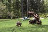 Organization (Sam Spiczka, 2000) · Организация