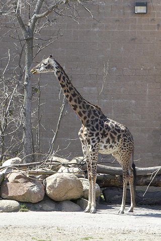 Zoo