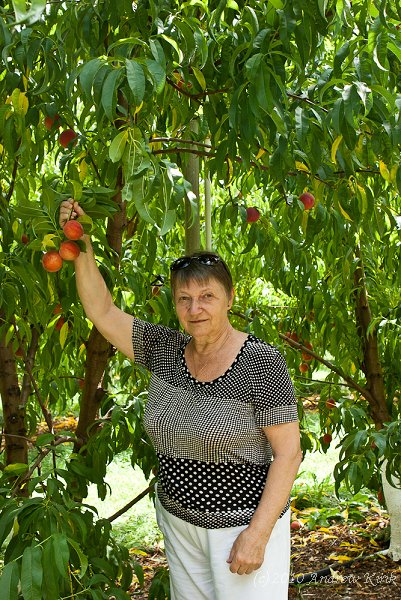 Peaches