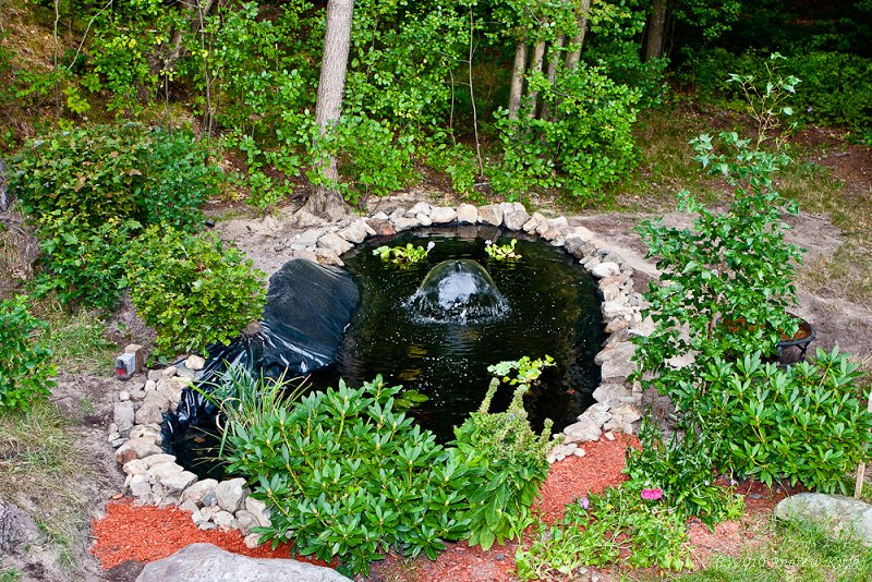 House Pond