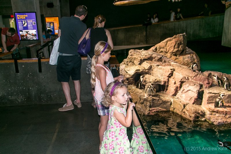 Aquarium